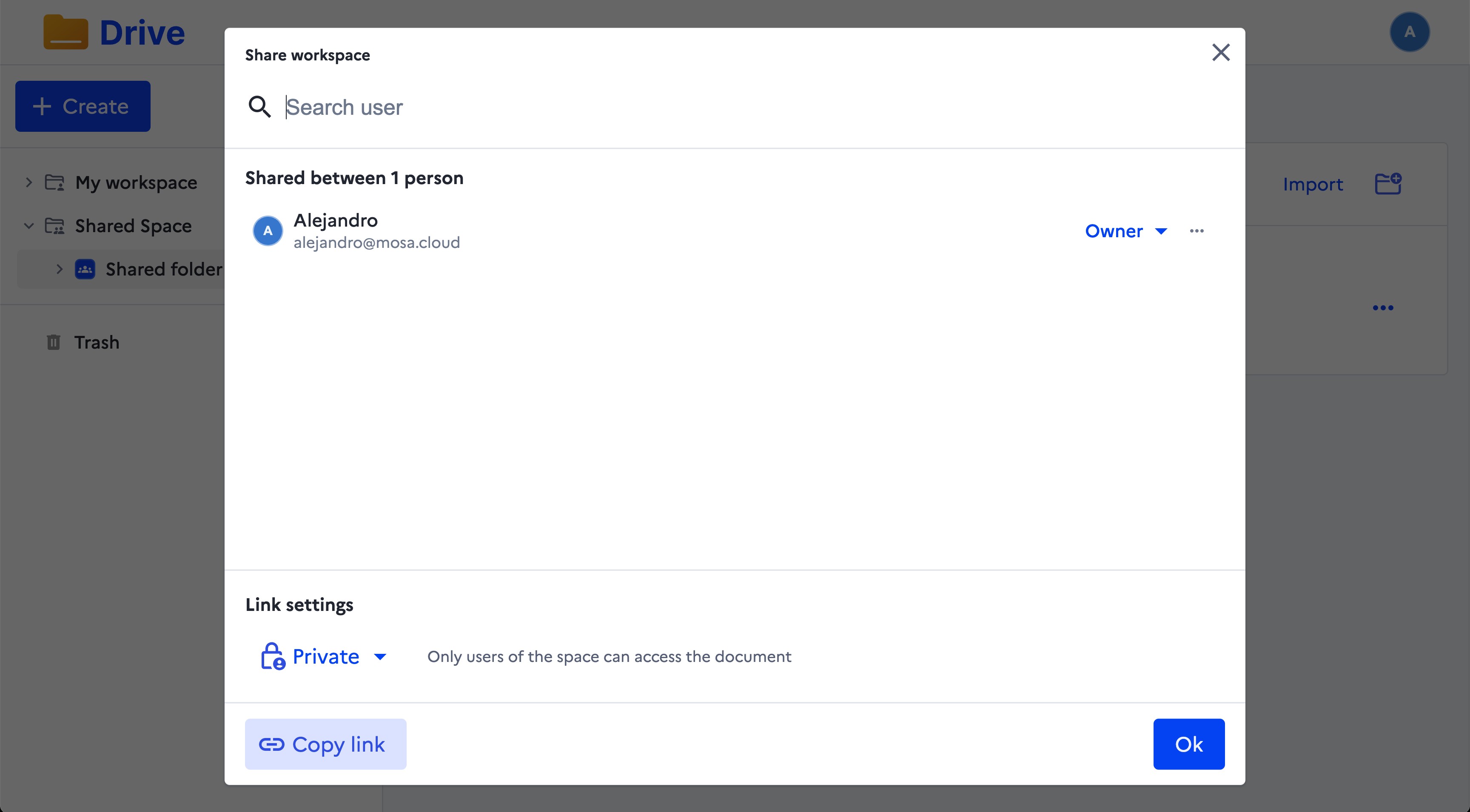 Drive sharing dialog with user permissions and link settings